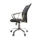 Xtech Verona Executive or Computer  Chair with armrests