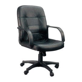 Xtech AM160GEN27 - Executive office chair with armrests