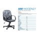 Xtech AM160GEN27 - Executive office chair with armrests